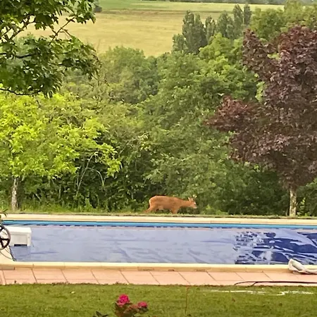 Evasion En Campagne, Calme Et Piscine Gasthuis *